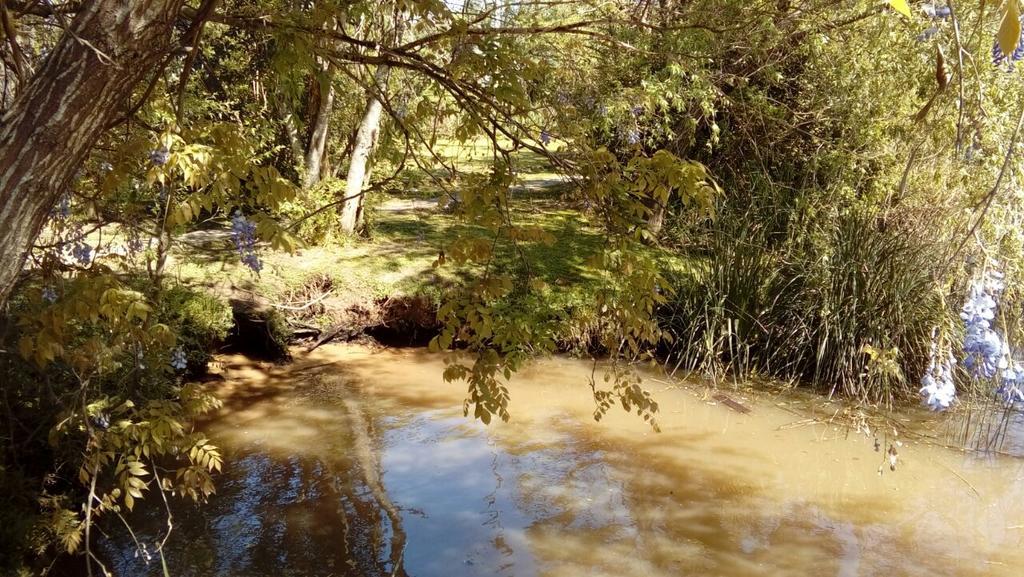 Cabanas Sidharta Tigre Bagian luar foto